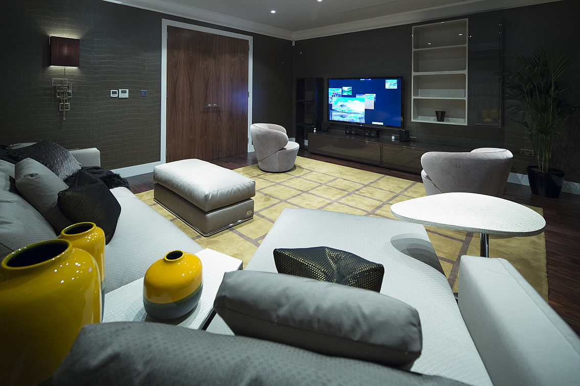 Spacious Television Room